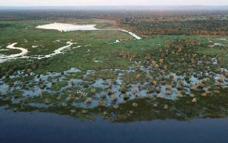 Pantanal parcialmente alagado Mato Grosso Misto Brasil