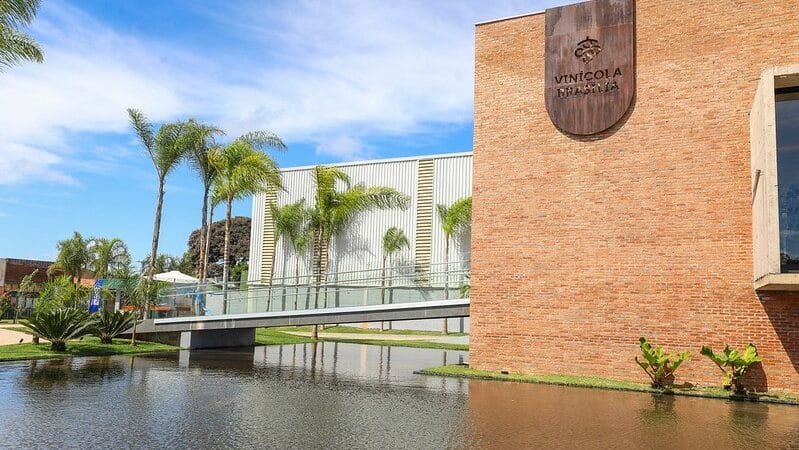 Primeira vinícola do Distrito Federal abre neste domingo para o público