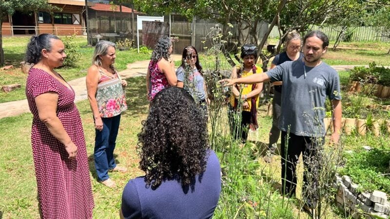 Festival de Alimentação Saudável no Jardim Botânico nesta sexta e sábado