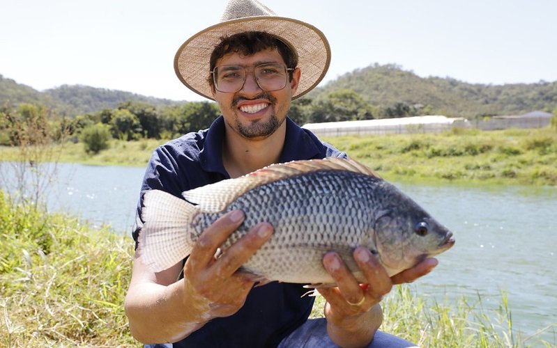 Peixe produtor, Guilherme Gonçalves DF Misto Brasil