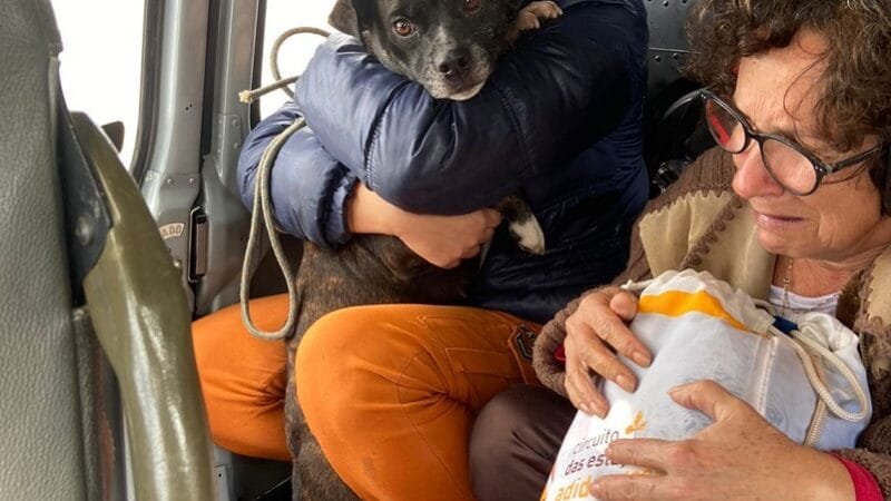 Todos pelo Rio Grande do Sul