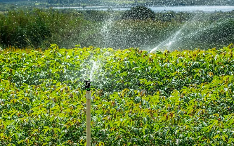 Embrapa tem agora unidade mista no Mato Grosso