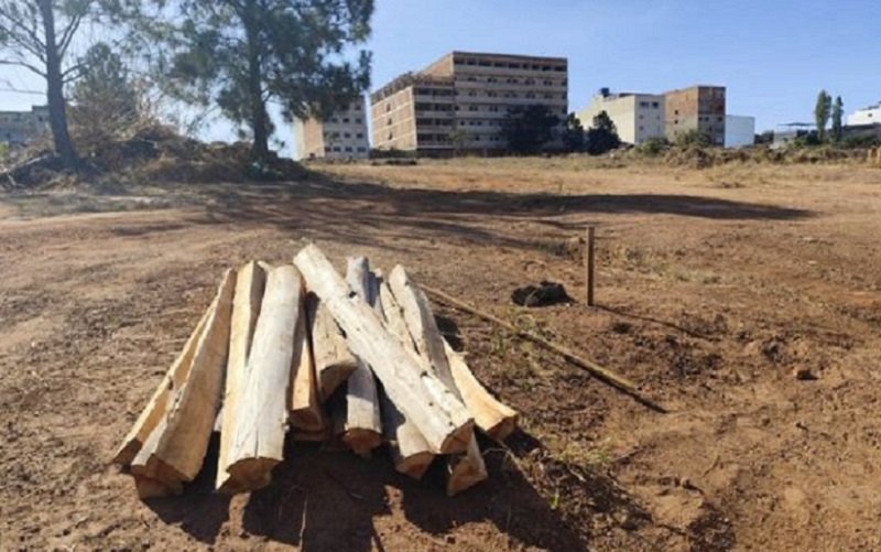 Grilagem de terra Sucupira DF Misto Brasil