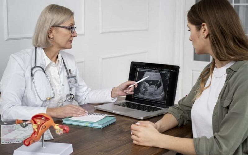 Reprodução humana hospital curso Misto Brasil