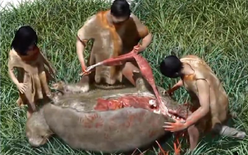 Humanos antigos América do Sul Misto Brasil