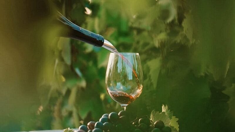 Termina neste domingo a primeira feira do vinho do Distrito Federal