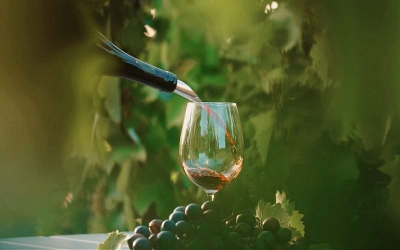 Vinho tinto taça DF Misto Brasil