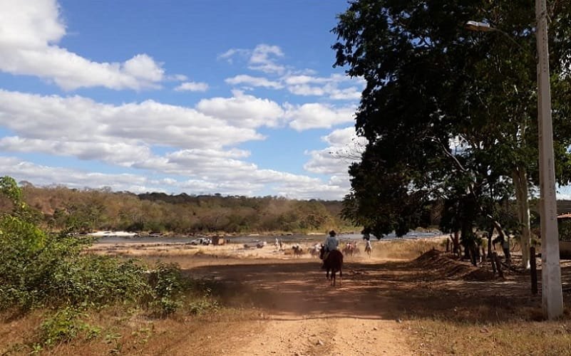 Cavalgada Grande Sertão Veredas Minas Gerais Misto Brasil