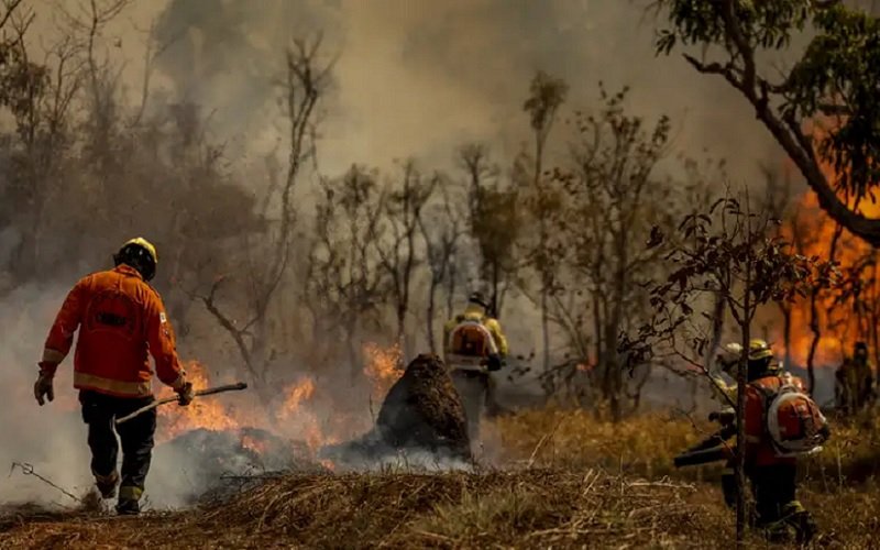 Incêndio florestal DF brigadistas Misto Brasil