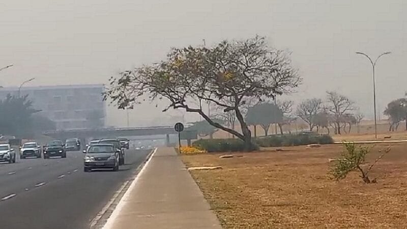 Governo distrital lança a “Calculadora Verde” para monitorar gases de efeito estufa