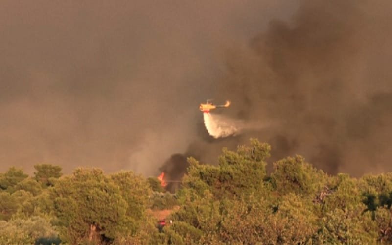 Incêndio florestal Grécia Atenas Misto Brasil