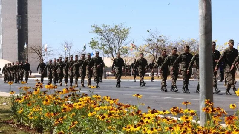 Guia reúne datas comemorativas brasileiras