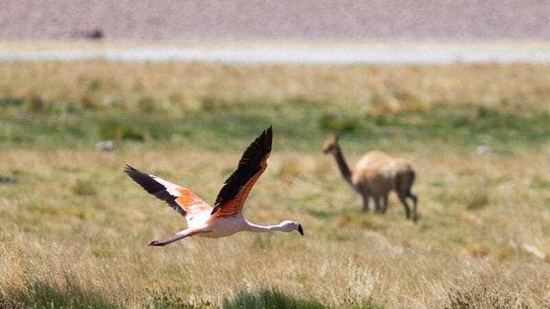 Exposição e curso de fotografias neste mês no Venâncio Cultural