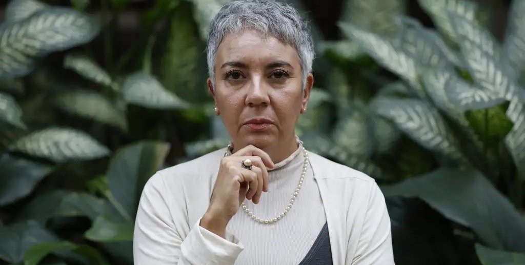 Professora Carla Cecília Ferreira UFRJ Misto Brasil