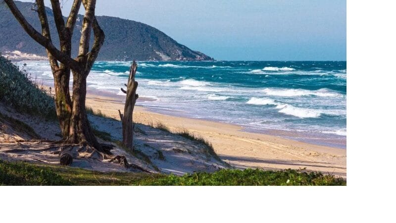 Quatro praias integram as Reservas Nacionais de Surfe