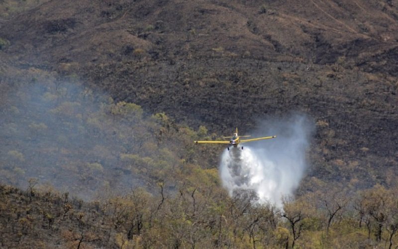 Incêndio florestal Chapada dos Veadeiros Misto Brasil