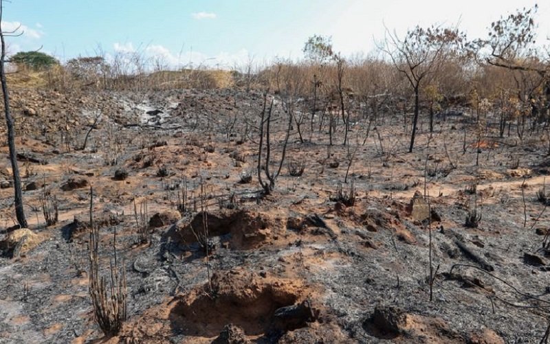 Incêndio área queimada Noroeste DF Misto Brasil