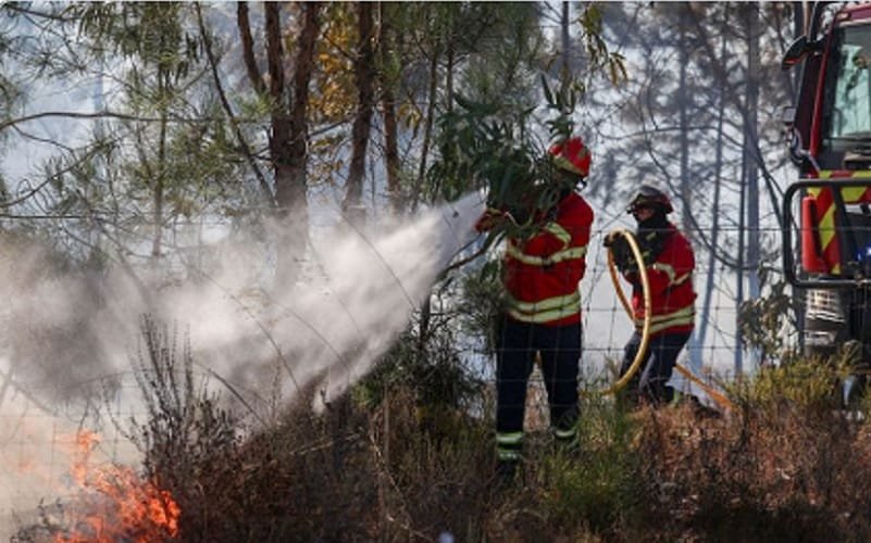 Incêndio florestal Portugal Misto Brasil