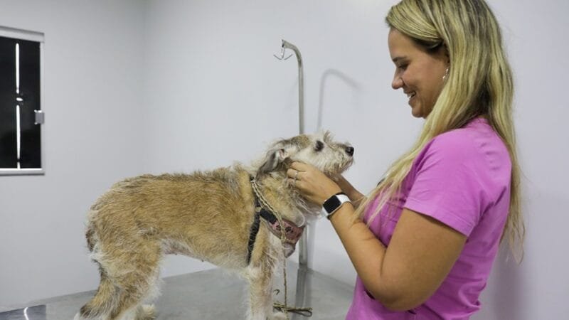 Nayara Freire, oncologista do Hvep, na ação do Outubro Rosa Pet que é realizado em Brasília/Geovana Albuquerque/Agência Brasília