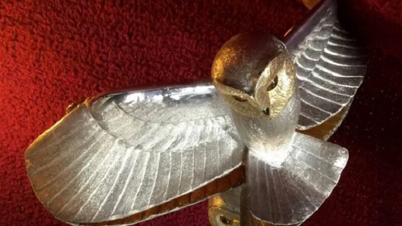 Encontrada coruja dourada depois de 31 anos de buscas