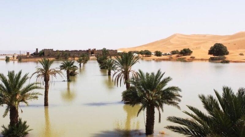 Tempestade inundou áreas do deserto do Saara