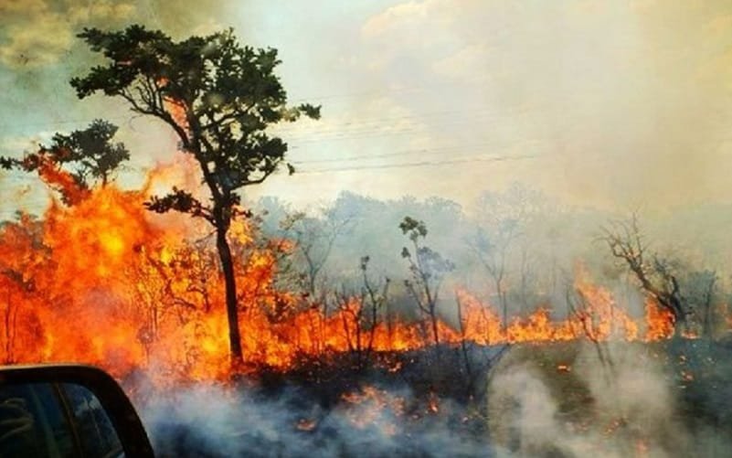 Incêndio florestal reserva Águas Emendadas DF Misto Brasil