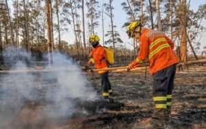 Incêndio Parque do Guará DF Misto Brasil