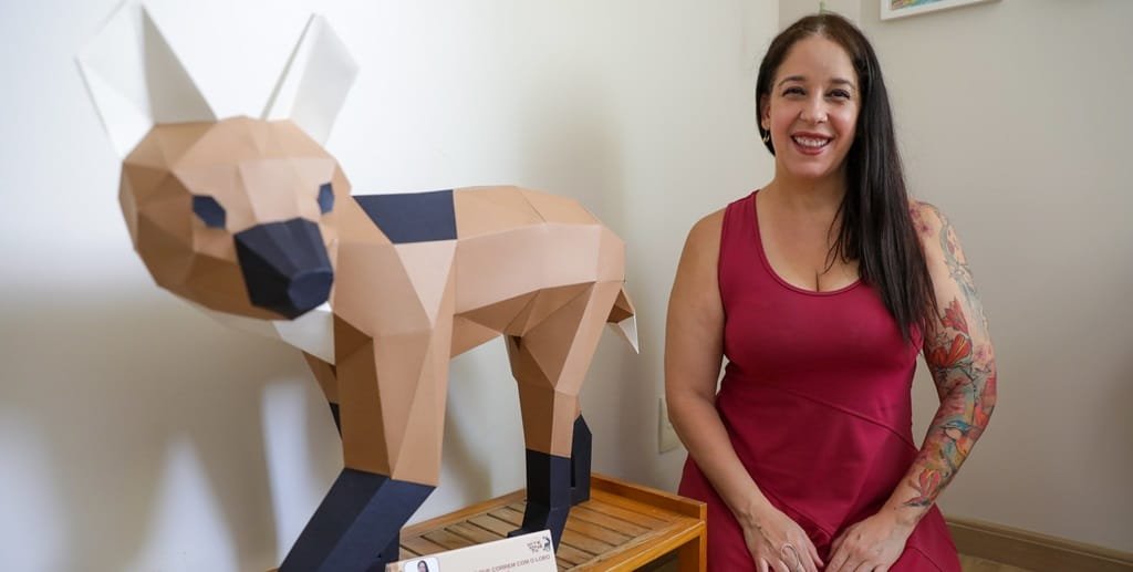 Artesanato Ludmila Guimarães DF premiada Misto Brasil