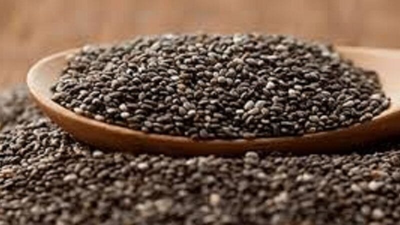 Protocolo de exportação de chia entre a Bolívia e a China