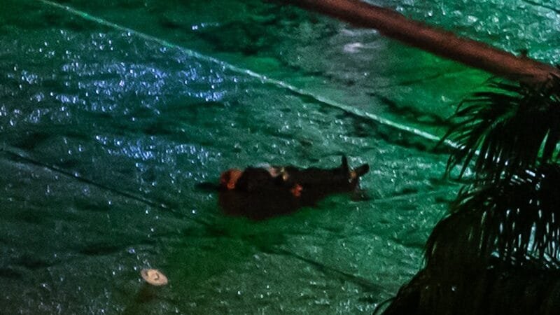 Partido Liberal lança nota e diz que repudia violência