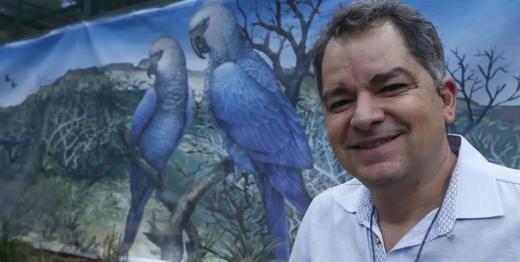 Zoo de São Paulo painel ararinha-azul Misto Brasil