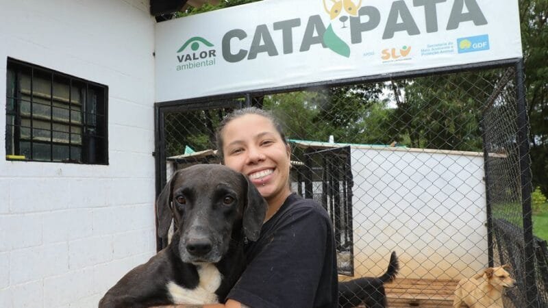 Liz Maia é responsável pelo projeto Cata Pata, que ao longo do ano resgatou 65 animais, muitos em péssimas condições/Joel Rodrigues/Agência Brasília