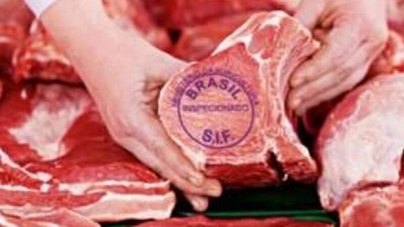 Radar Verde apontou os frigoríficos que evitam o desmatamento