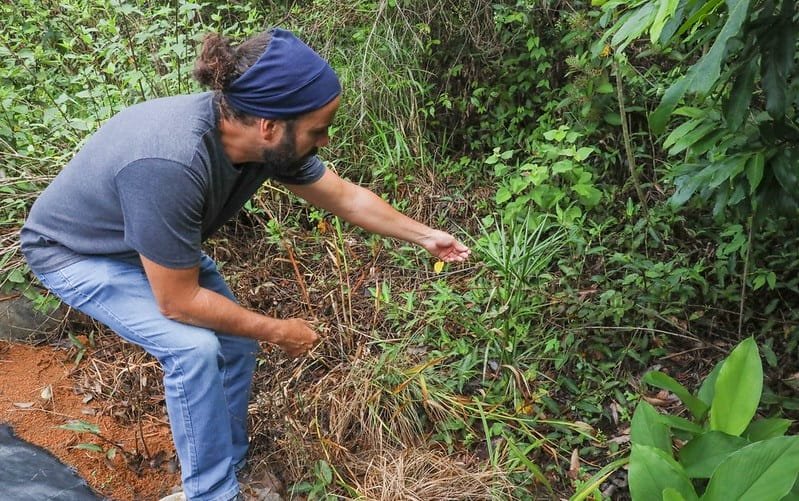 Programa Reflorestar DF produtor rural Gilver Ferreira Misto Brasil