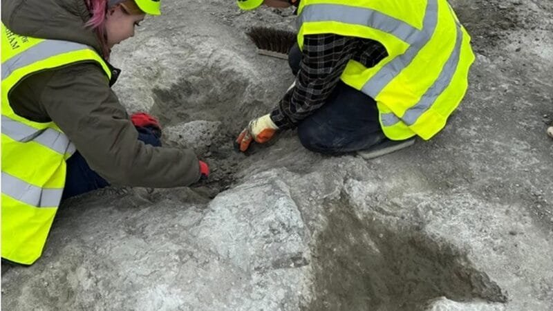 Maior sítio de pegadas de dinossauros foi descoberto no Reino Unido