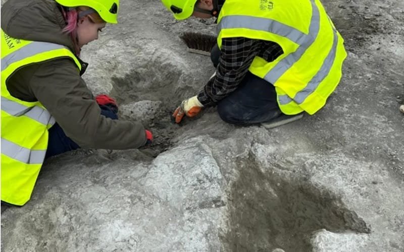 Dinossauro pegadas Reino Unido Misto Brasil