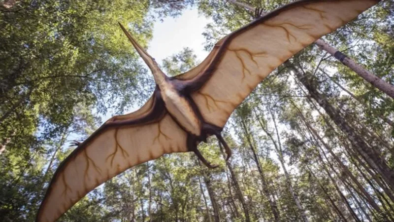 Osso fossilizado de 76 milhões de anos encontrado no Canadá