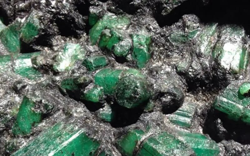 Esmeralda repatriada EUA Brasil Misto Brasil