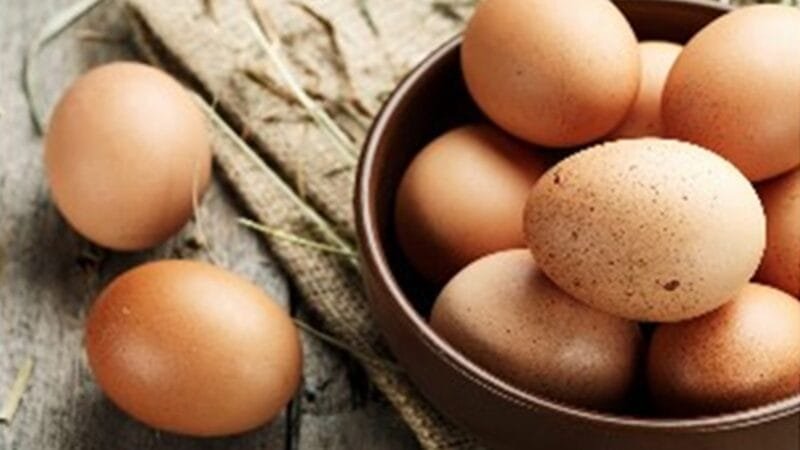 Preço do ovo apresentou aumento de 23% em fevereiro