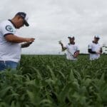 Ideologia agrícola: negócios com a China, coração nos EUA