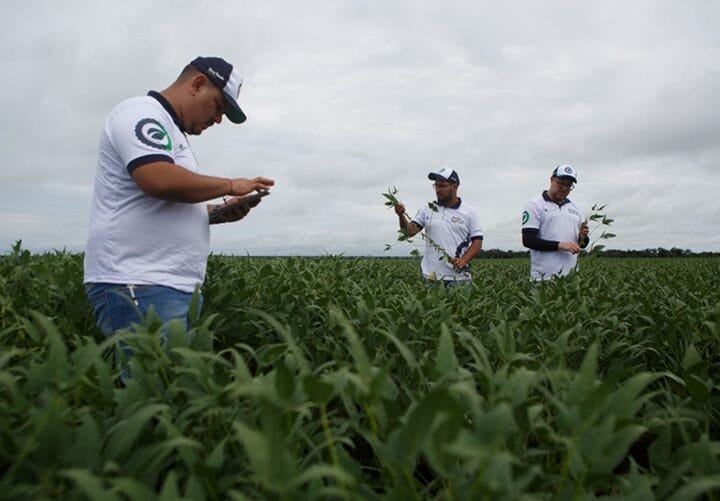 Ideologia agrícola: negócios com a China, coração nos EUA
