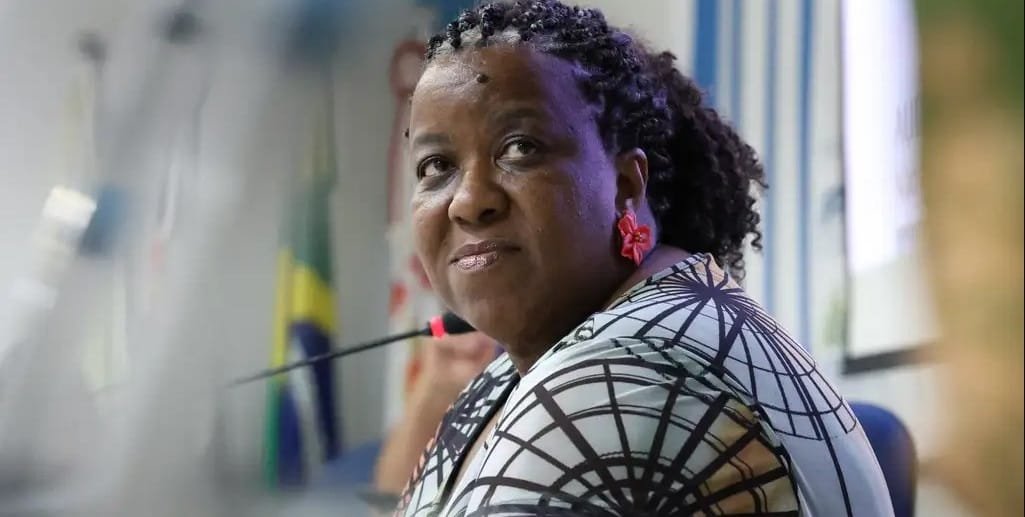 Ministra Macaé Evaristo Direitos Humanos e da Cidadania Misto Brasil