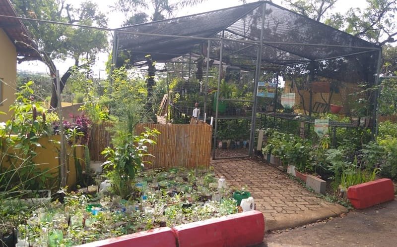 Santuário da Vida Silvestre do Riacho Fundo DF Misto Brasil