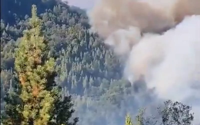 Argentina incêndio Patagônia