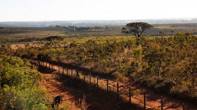 Reserva Ecológica do IBGE deve passar para o ICMBio