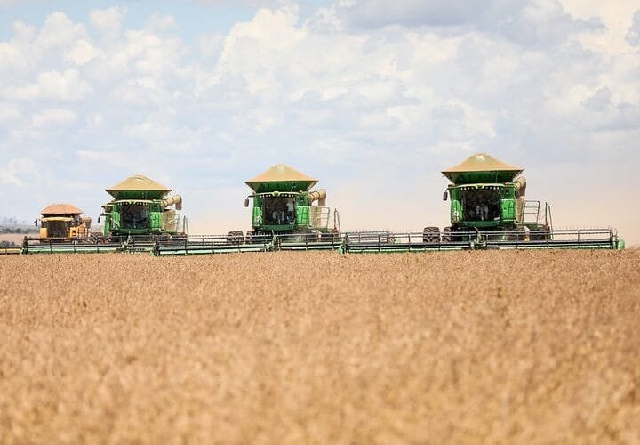 Começou a temporada da colheira da soja no Distrito Federal