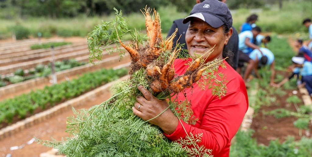 Horta Comunitária Alto Mangueiral São Sebastião DF Misto Brasil