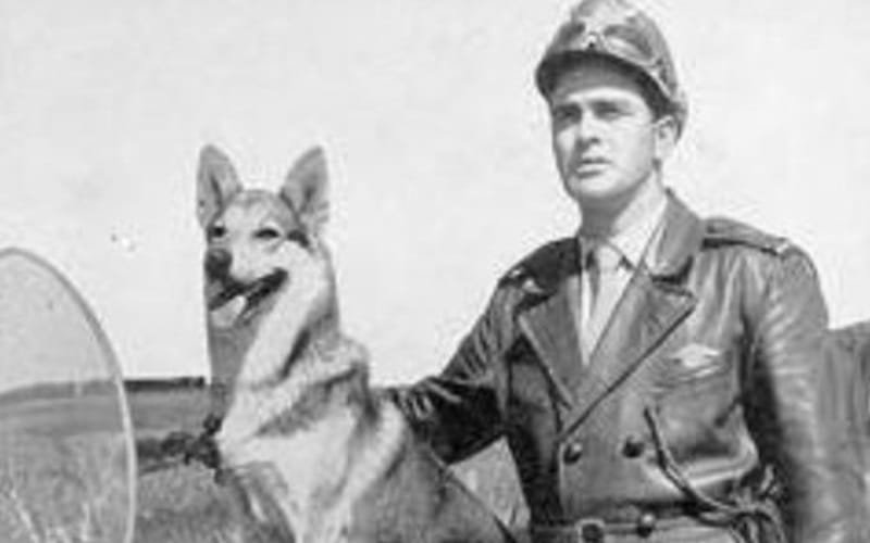 O Vigilante Rodoviário inspetor Carlos Misto Brasil