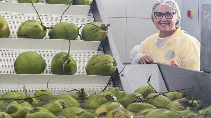 Banco do Nordeste oferece R$ 2 bilhões em crédito