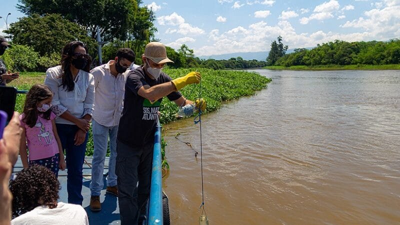 Pesquisa identfica pouca melhora dos rios na Mata Atlântica